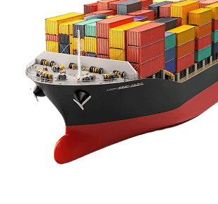 Export Coordination Steps